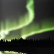 See the Northern Lights
